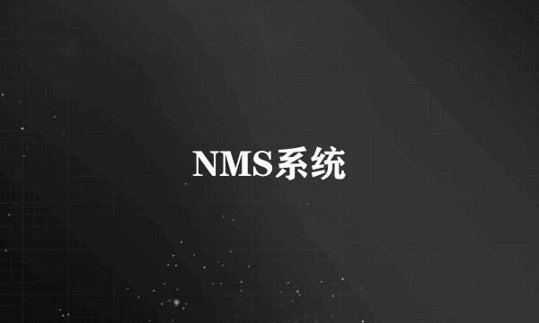 NMS系统