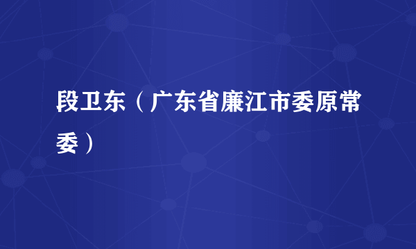 段卫东（广东省廉江市委原常委）