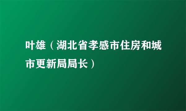 叶雄（湖北省孝感市住房和城市更新局局长）