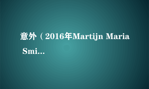 意外（2016年Martijn Maria Smits执导编剧电影）