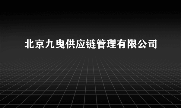 北京九曳供应链管理有限公司