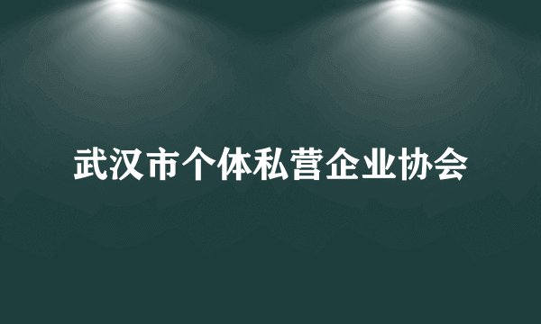 武汉市个体私营企业协会