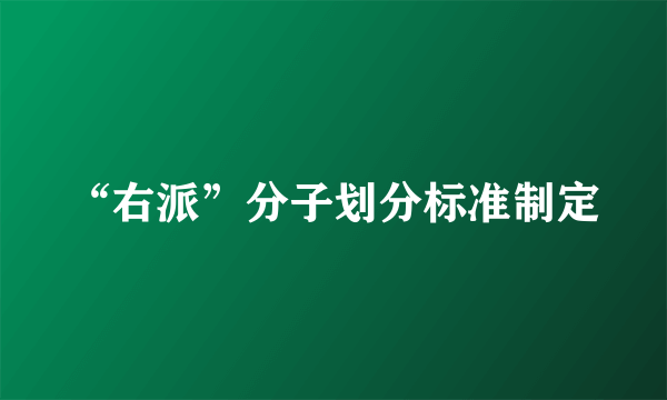 “右派”分子划分标准制定