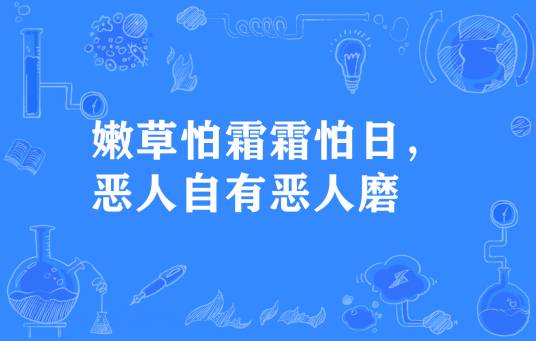 嫩草怕霜霜怕日，恶人自有恶人磨