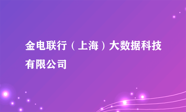 金电联行（上海）大数据科技有限公司