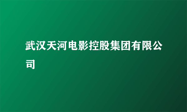 武汉天河电影控股集团有限公司