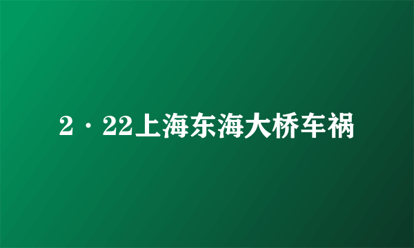 2·22上海东海大桥车祸