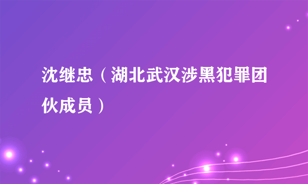 沈继忠（湖北武汉涉黑犯罪团伙成员）