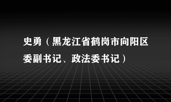 史勇（黑龙江省鹤岗市向阳区委副书记、政法委书记）