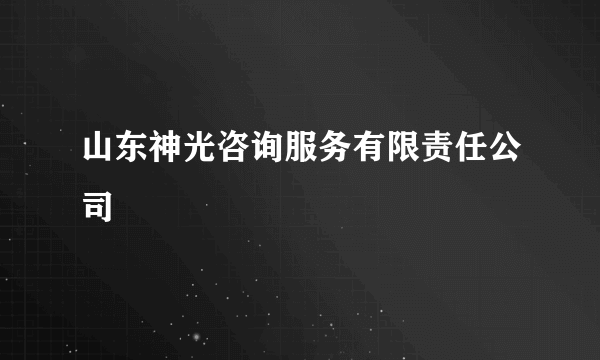 山东神光咨询服务有限责任公司