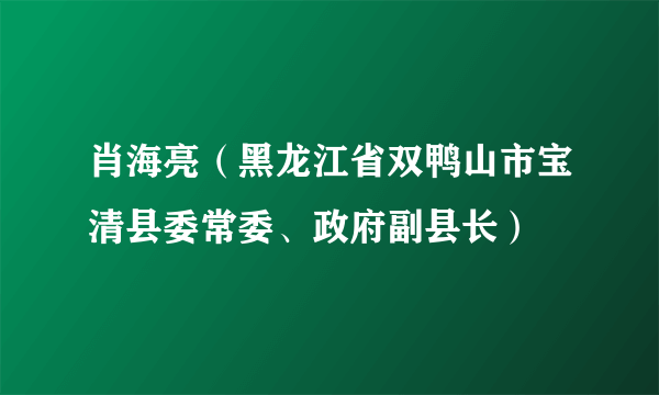 肖海亮（黑龙江省双鸭山市宝清县委常委、政府副县长）