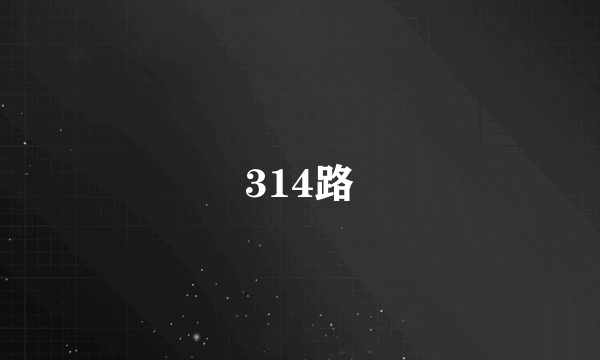 314路