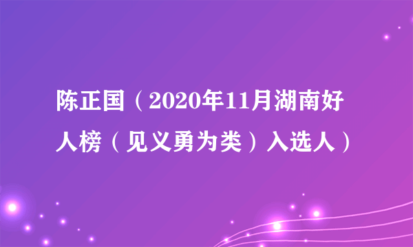 陈正国（2020年11月湖南好人榜（见义勇为类）入选人）