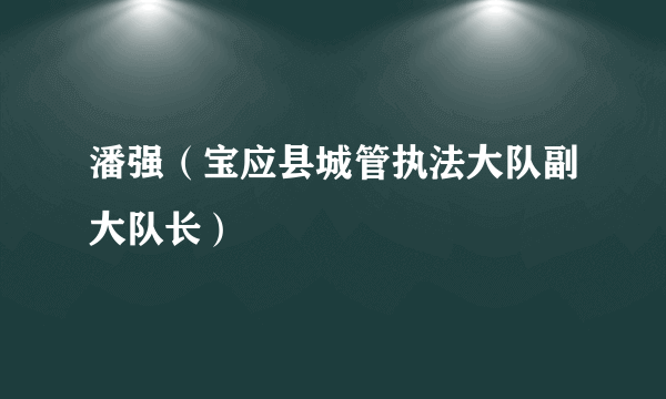 潘强（宝应县城管执法大队副大队长）