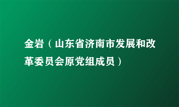 金岩（山东省济南市发展和改革委员会原党组成员）