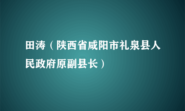 田涛（陕西省咸阳市礼泉县人民政府原副县长）