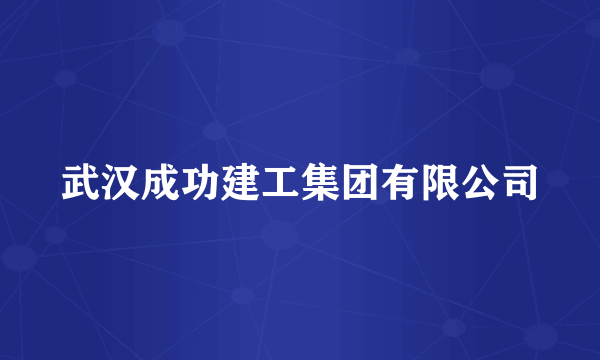 武汉成功建工集团有限公司