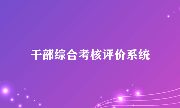 干部综合考核评价系统