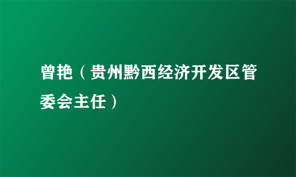 曾艳（贵州黔西经济开发区管委会主任）