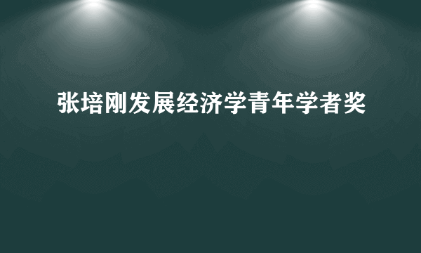 张培刚发展经济学青年学者奖