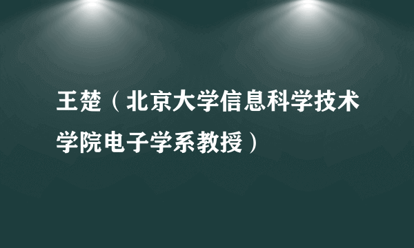 王楚（北京大学信息科学技术学院电子学系教授）