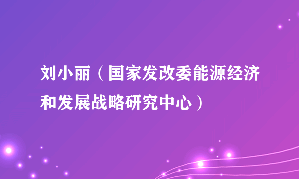 刘小丽（国家发改委能源经济和发展战略研究中心）