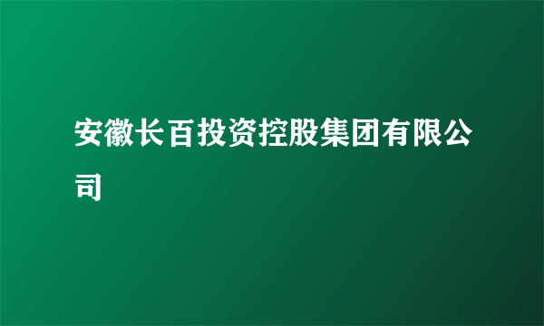 安徽长百投资控股集团有限公司