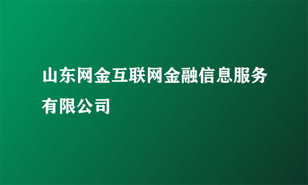 山东网金互联网金融信息服务有限公司