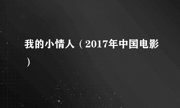 我的小情人（2017年中国电影）