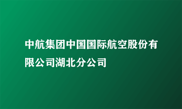 中航集团中国国际航空股份有限公司湖北分公司