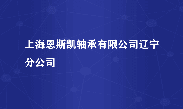 上海恩斯凯轴承有限公司辽宁分公司