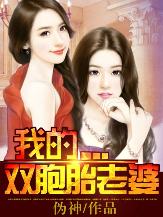 我的双胞胎老婆（伪神创作的都市类网络小说）