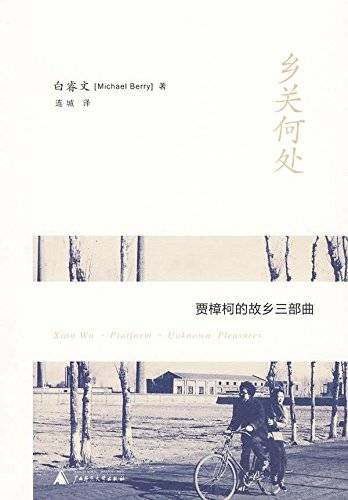 乡关何处（2010年广西师范大学出版社出版的图书）