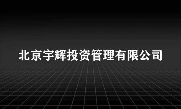 北京宇辉投资管理有限公司