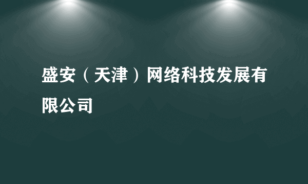 盛安（天津）网络科技发展有限公司