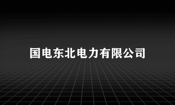 国电东北电力有限公司