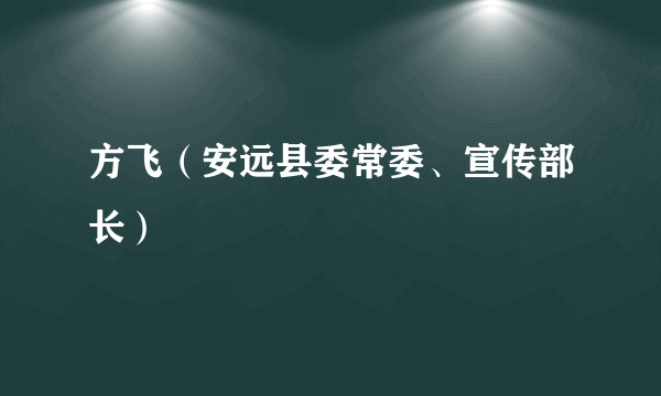 方飞（安远县委常委、宣传部长）