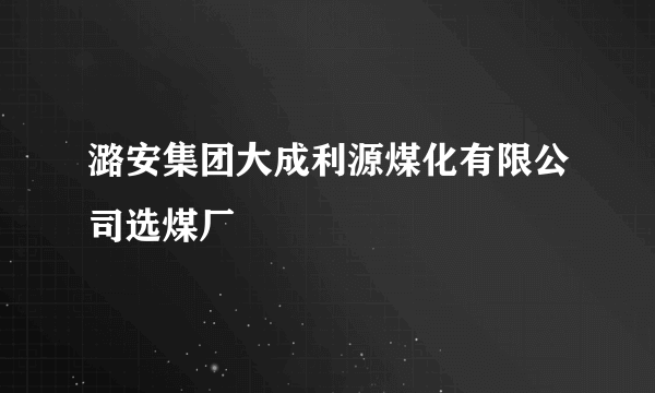 潞安集团大成利源煤化有限公司选煤厂