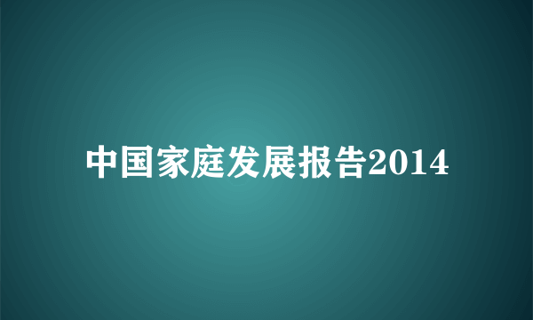 中国家庭发展报告2014