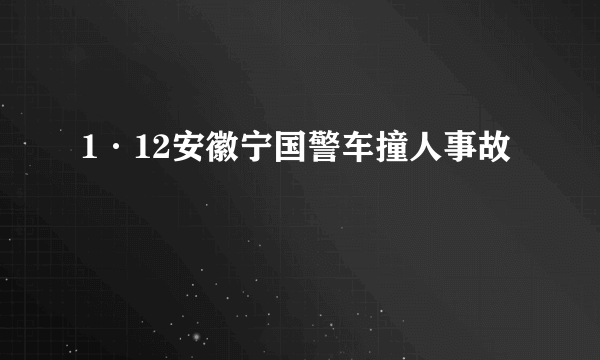 1·12安徽宁国警车撞人事故