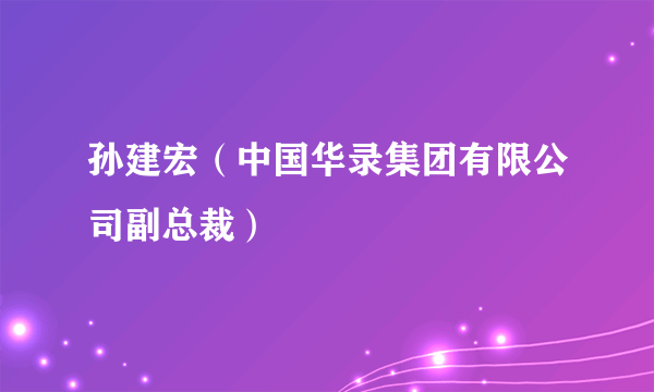 孙建宏（中国华录集团有限公司副总裁）