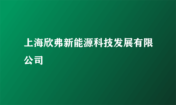 上海欣弗新能源科技发展有限公司