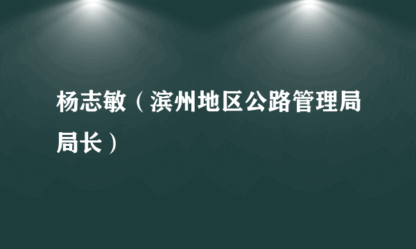 杨志敏（滨州地区公路管理局局长）