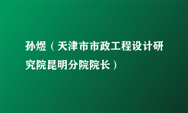 孙煜（天津市市政工程设计研究院昆明分院院长）