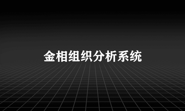 金相组织分析系统