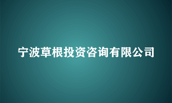 宁波草根投资咨询有限公司