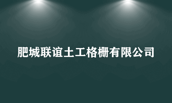 肥城联谊土工格栅有限公司