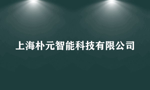 上海朴元智能科技有限公司