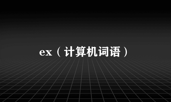 ex（计算机词语）