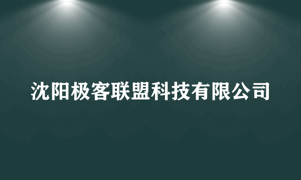 沈阳极客联盟科技有限公司